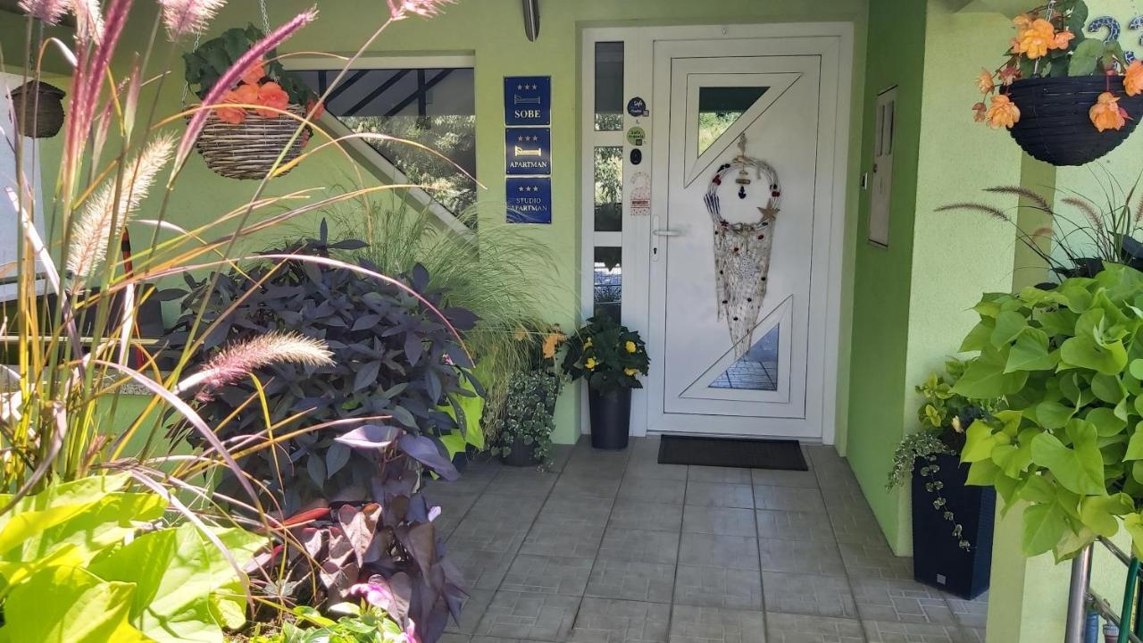 Studio Apartman Grizzly Слуни Екстериор снимка