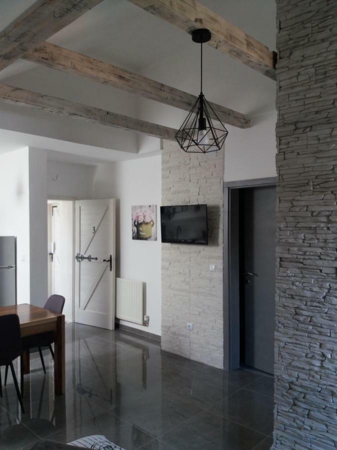 Studio Apartman Grizzly Слуни Екстериор снимка
